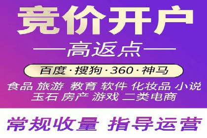 SEM外包服务应用案例分析